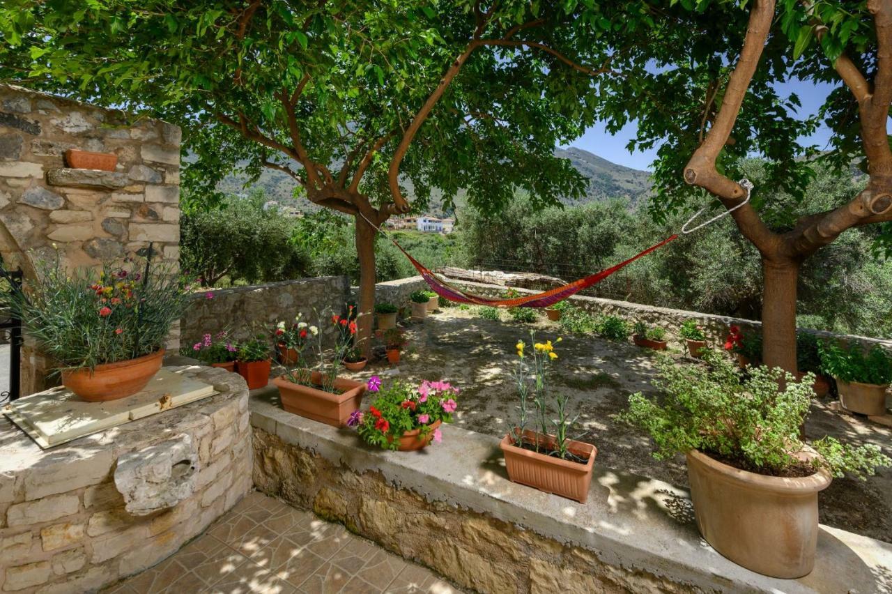 Pagonas Traditional House Mouríon المظهر الخارجي الصورة